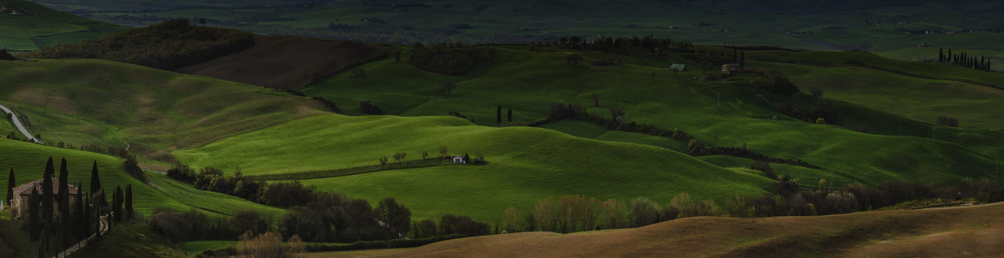 Immagine Banner Desktop per il territorio