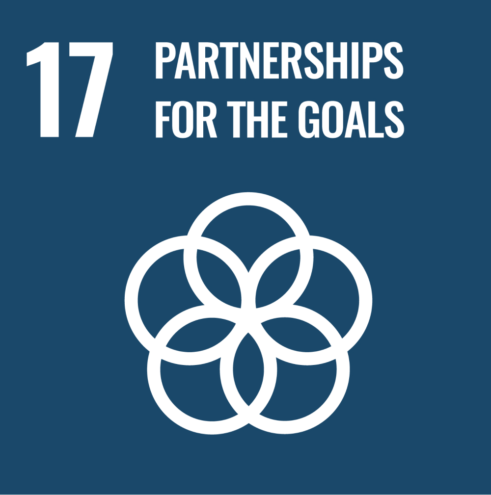 17 Partnership per gli obiettivi