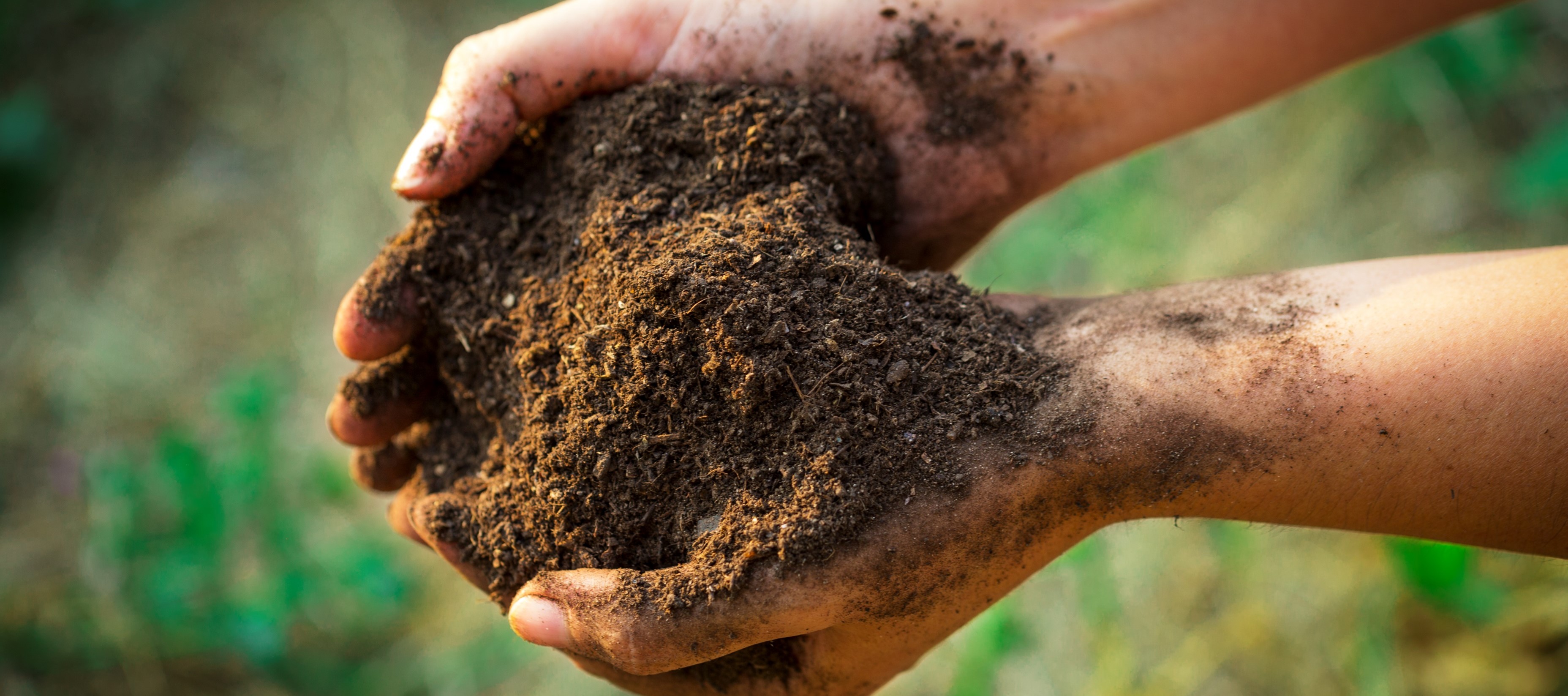 Compost of the Anaerobic digestion and composting plant in Rimini