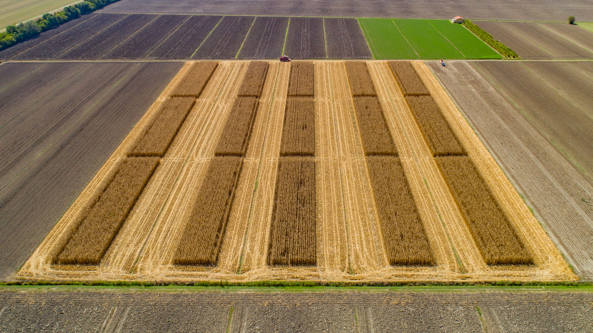 e-GEOS per lo Smart Farming